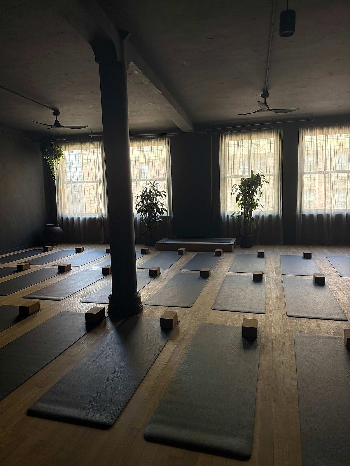 Mats and blocks laid out under tall windows and potted plants